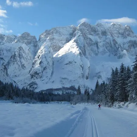 Alte Post فندق Feistritz an der Gail