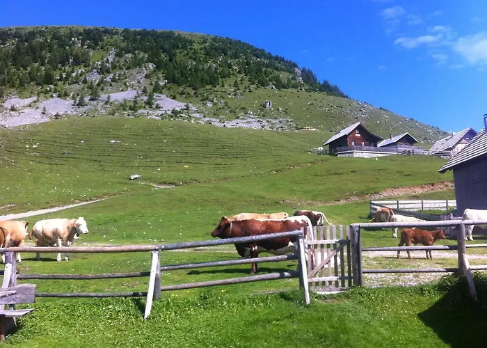 Hotell Alte Post Feistritz an der Gail